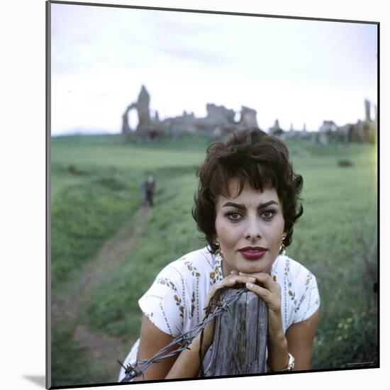 Portrait of Actress Sophia Loren-Loomis Dean-Mounted Premium Photographic Print