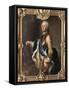 Portrait of Adolph Frederick (1710-177), Crown Prince of Sweden-Antoine Pesne-Framed Stretched Canvas