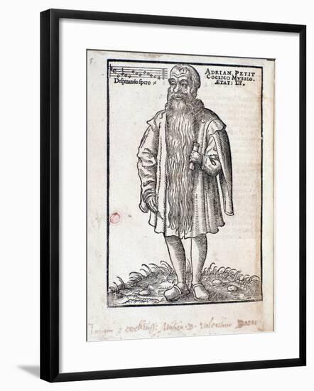 Portrait of Adrianus Petit Coclico Netherlandish Composer-null-Framed Giclee Print