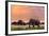 Portrait of African Elephants with Dusk Sky, Etosha National Park Ombika Kunene, Namibia, Wildlife-Artush-Framed Photographic Print