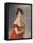 Portrait of Aglae Angelique Gabrielle De Gramont (1787-184), Wife of General Alexander Lvovich Davy-Marie Louise Elisabeth Vigée-Lebrun-Framed Stretched Canvas