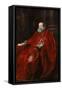 Portrait of Agostino Pallavicini, c.1621-Anthony van Dyck-Framed Stretched Canvas