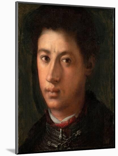 Portrait of Alessandro De' Medici (1510-153), 1534-1535-Pontormo-Mounted Giclee Print