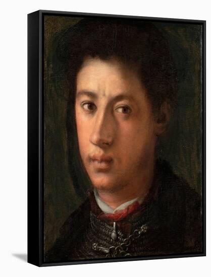 Portrait of Alessandro De' Medici (1510-153), 1534-1535-Pontormo-Framed Stretched Canvas