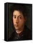 Portrait of Alessandro De' Medici (1510-153), 1534-1535-Pontormo-Framed Stretched Canvas