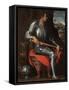 Portrait of Alessandro De' Medici (1511-153) in Armour, 1534-Giorgio Vasari-Framed Stretched Canvas