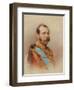 Portrait of Alexander II (1818-1881)-Ivan Raulov-Framed Giclee Print