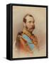 Portrait of Alexander II (1818-1881)-Ivan Raulov-Framed Stretched Canvas