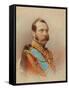 Portrait of Alexander II (1818-1881)-Ivan Raulov-Framed Stretched Canvas