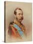 Portrait of Alexander II (1818-1881)-Ivan Raulov-Stretched Canvas