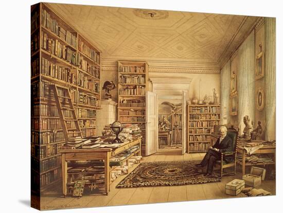 Portrait of Alexander Von Humboldt-null-Stretched Canvas