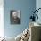 Portrait of Alexandre Becquerel-Nadar-Mounted Photographic Print displayed on a wall