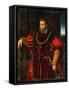 Portrait of Alfonso D'Este-Duccio Di buoninsegna-Framed Stretched Canvas