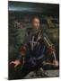 Portrait of Alfonso I D'Este-Dosso Dossi-Mounted Giclee Print