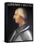 Portrait of Alfonso V of Aragon-null-Framed Stretched Canvas