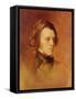 Portrait of Alfred Lord Tennyson-Samuel Laurence-Framed Stretched Canvas