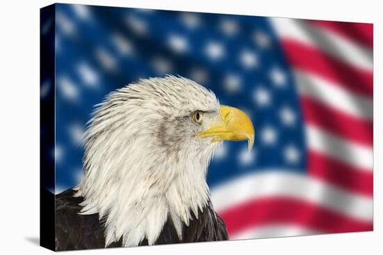 Portrait of American Bald Eagle against Usa Flag Stars and Stripes-Veneratio-Stretched Canvas