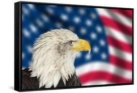 Portrait of American Bald Eagle against Usa Flag Stars and Stripes-Veneratio-Framed Stretched Canvas