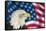 Portrait of American Bald Eagle against Usa Flag Stars and Stripes-Veneratio-Framed Stretched Canvas