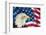 Portrait of American Bald Eagle against Usa Flag Stars and Stripes-Veneratio-Framed Photographic Print