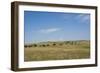 Portrait of American Bison Grazing in the Grasslands, North Dakota-Angel Wynn-Framed Photographic Print