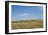 Portrait of American Bison Grazing in the Grasslands, North Dakota-Angel Wynn-Framed Photographic Print