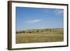 Portrait of American Bison Grazing in the Grasslands, North Dakota-Angel Wynn-Framed Photographic Print