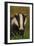 Portrait of an Adult Badger (Meles Meles), Derbyshire, UK-Andrew Parkinson-Framed Photographic Print