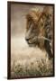 Portrait of an African lion (Panthera leo), Serengeti National Park, Tanzania, East Africa, Africa-Ashley Morgan-Framed Photographic Print