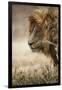 Portrait of an African lion (Panthera leo), Serengeti National Park, Tanzania, East Africa, Africa-Ashley Morgan-Framed Photographic Print