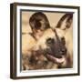 Portrait of an African Wild Dog, Harnas Wildlife Foundation and Guest Farm, Harnas, Namibia-Wendy Kaveney-Framed Photographic Print