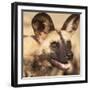 Portrait of an African Wild Dog, Harnas Wildlife Foundation and Guest Farm, Harnas, Namibia-Wendy Kaveney-Framed Photographic Print