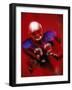 Portrait of an American Football Player Standing in a Tackle Pose-null-Framed Photographic Print