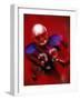 Portrait of an American Football Player Standing in a Tackle Pose-null-Framed Photographic Print