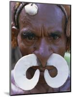 Portrait of an Asmat Man with Nose Ornament, Papua New Guinea, Pacific-Claire Leimbach-Mounted Photographic Print