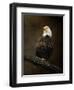 Portrait of an Eagle-Jai Johnson-Framed Giclee Print