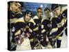 Portrait of an Ice Hockey Team-null-Stretched Canvas