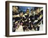 Portrait of an Ice Hockey Team-null-Framed Premium Photographic Print