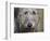 Portrait of an Irish Wolfhound-Zandria Muench Beraldo-Framed Photographic Print