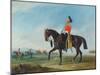 Portrait of an Officer of the 3rd Dragoon Guards with Other Members of the Regiment Beyond-John E. Ferneley-Mounted Giclee Print