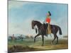 Portrait of an Officer of the 3rd Dragoon Guards with Other Members of the Regiment Beyond-John E. Ferneley-Mounted Giclee Print