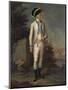 Portrait of an Official, the Fijo Regiment of Puerto Rico, 1790-Jose Campeche Y Jordan-Mounted Giclee Print