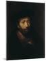 Portrait of an Old Man, 17th Century-Rembrandt van Rijn-Mounted Giclee Print