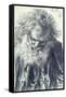 Portrait of an Old Man, 1884-Adolph Friedrich Erdmann von Menzel-Framed Stretched Canvas