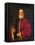 Portrait of an Old Man in Red Robes-Jacopo Robusti Tintoretto-Framed Stretched Canvas