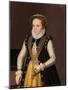 Portrait of an Unknown French Nobleman, 1560-9-French School-Mounted Giclee Print