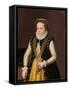 Portrait of an Unknown French Nobleman, 1560-9-French School-Framed Stretched Canvas