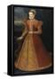 Portrait of an Unknown Lady, C.1575-Alonso Sanchez Coello-Framed Stretched Canvas