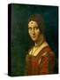 Portrait of an Unknown Woman (La Belle Ferronier), C1490-Leonardo da Vinci-Stretched Canvas