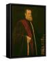 Portrait of Andrea Cappello-Jacopo Robusti Tintoretto-Framed Stretched Canvas